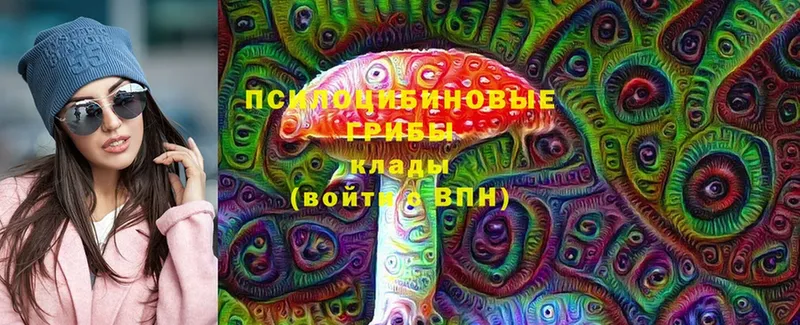 где купить   Ревда  дарк нет какой сайт  Галлюциногенные грибы MAGIC MUSHROOMS 